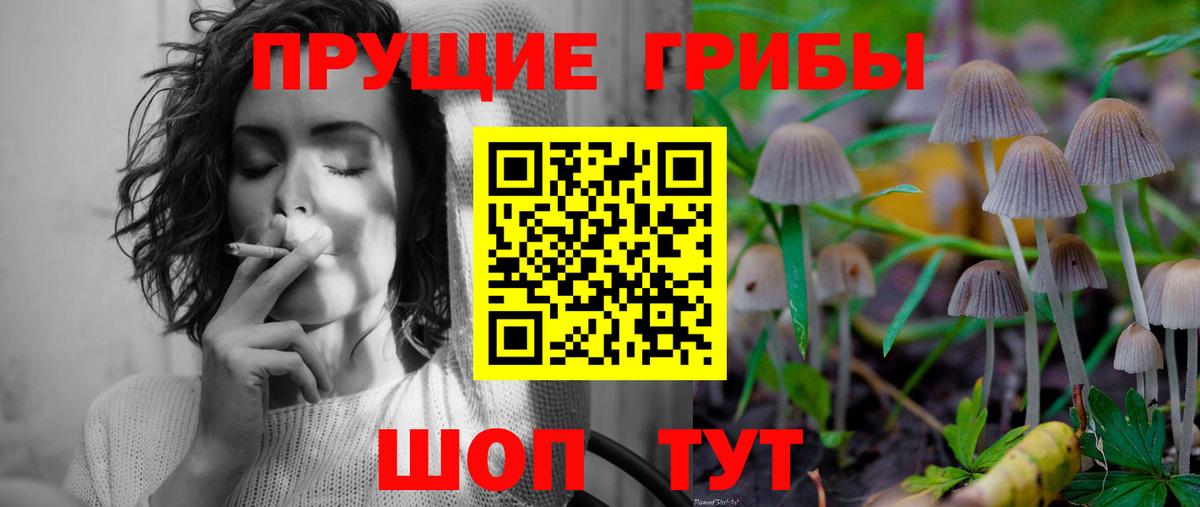 Галлюциногенные грибы мухоморы  где купить наркотик  Иркутск  Вход с VPN 